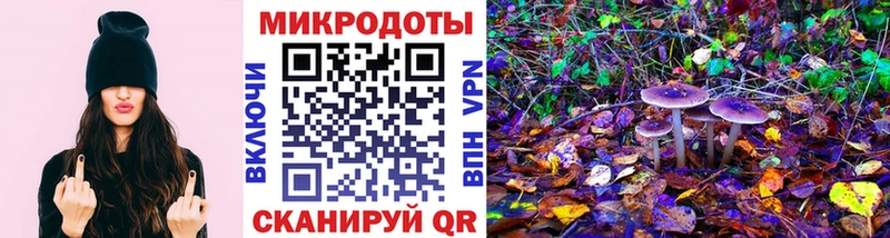 KRAKEN ONION  Югорск  shop состав  Псилоцибиновые грибы Psilocybe 